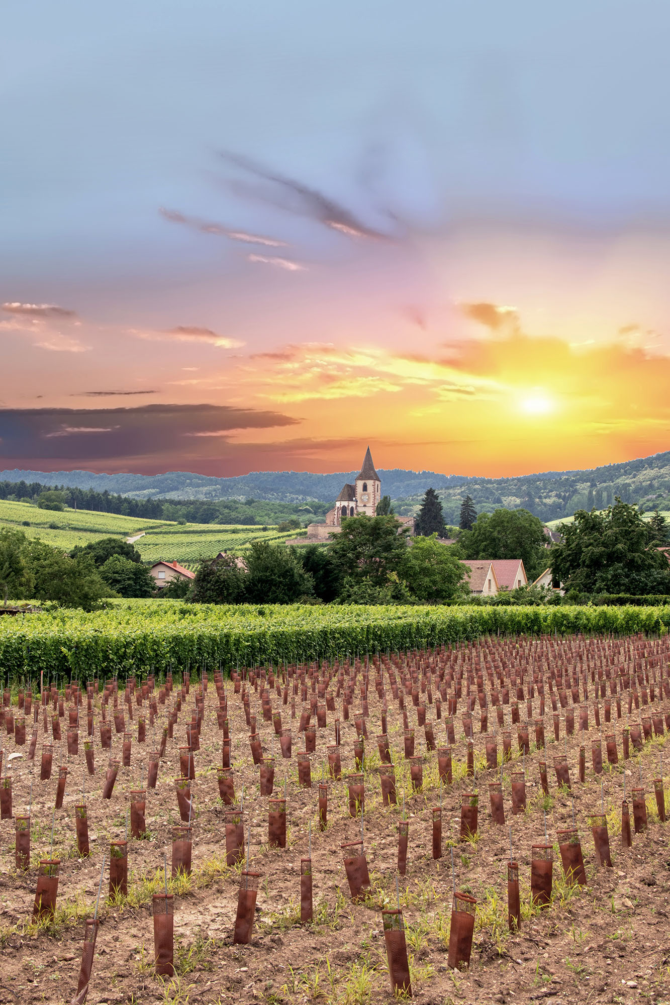 Hunawihr, dans le pays de Colmar