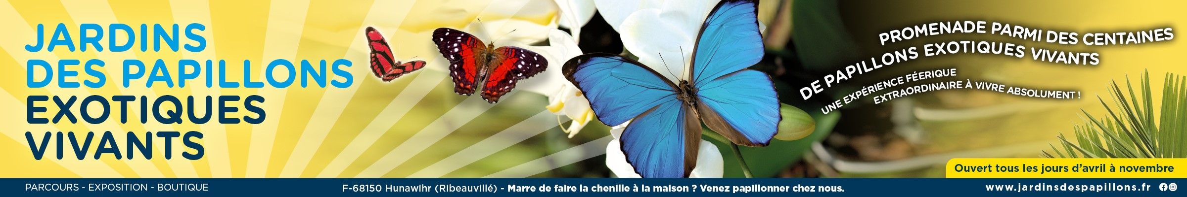 Jardin des papillons