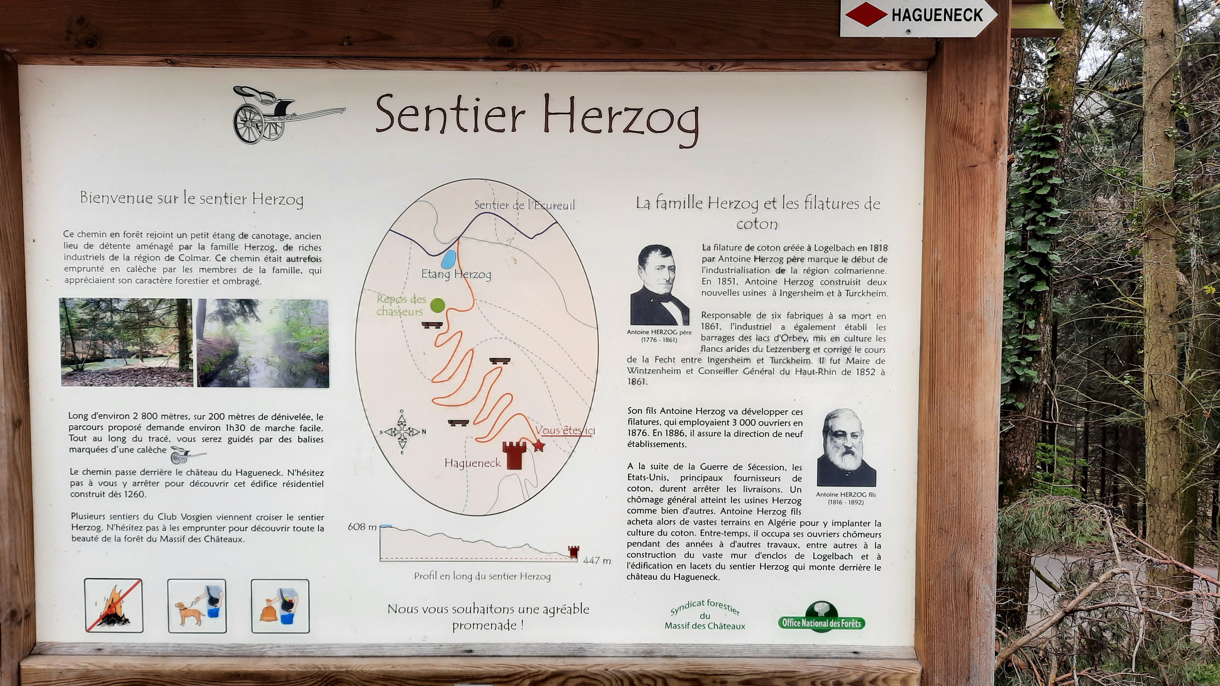Sentier Herzog